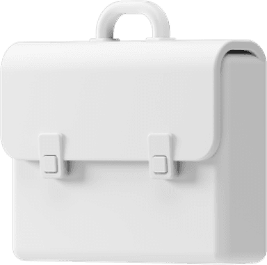 bagicon